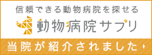 Medical Doc 掲載されました