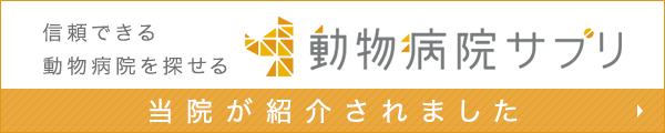 Medical Doc 掲載されました